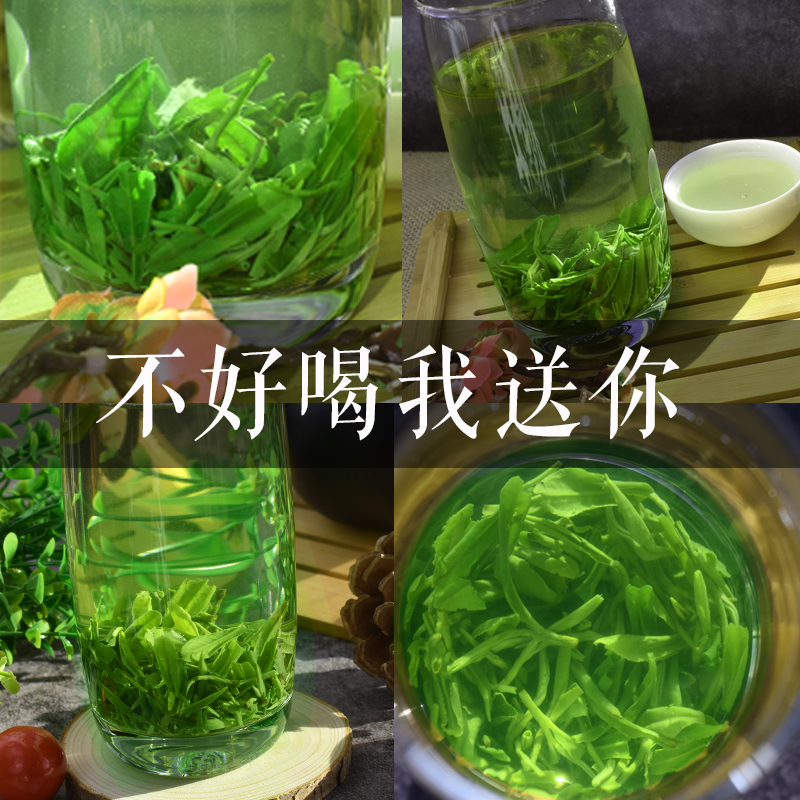 日照绿茶2019新茶500g高山云雾炒青茶叶板栗香浓香毛尖袋装碧螺春