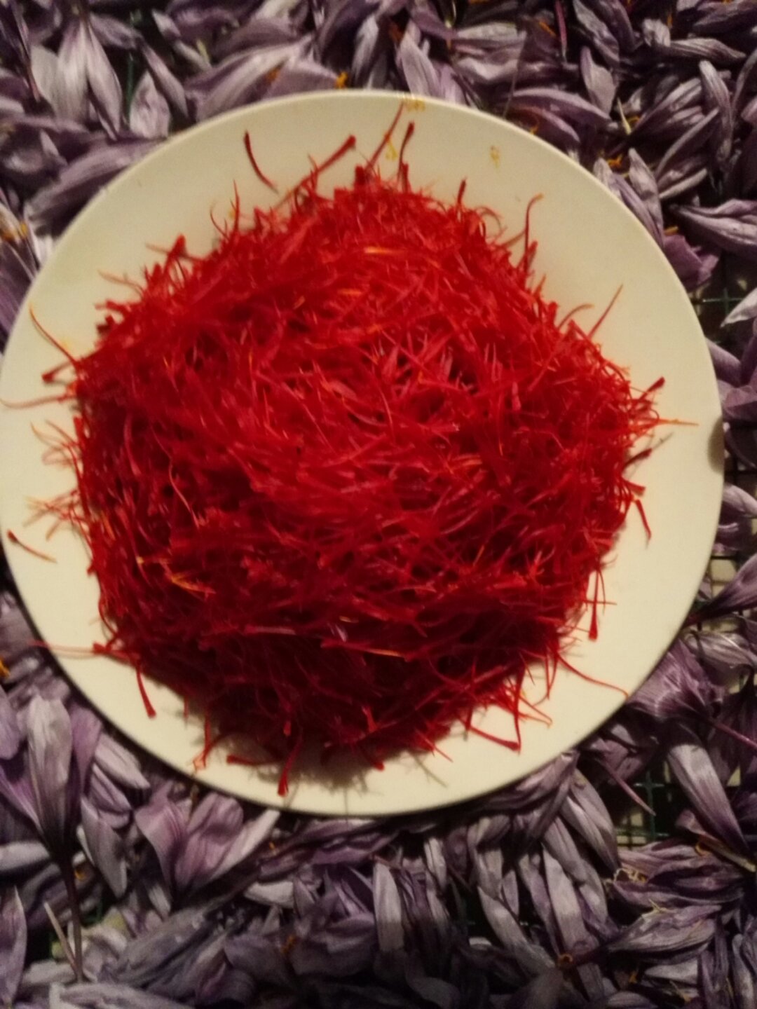 藏红花3克正品,藏红花茶,藏红花,藏红花正宗