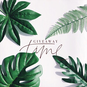 ins风韩国极简风仿真树叶 span class=h>植物 /span>热带椰树叶子拍照