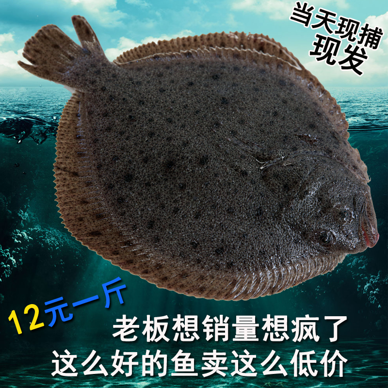 海鮮水產新鮮多寶魚鮮活石斑魚比目魚花崗魚石江魚菱鮃魚野生海魚