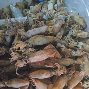 【连云港海鲜图片】连云港海鲜图片大全