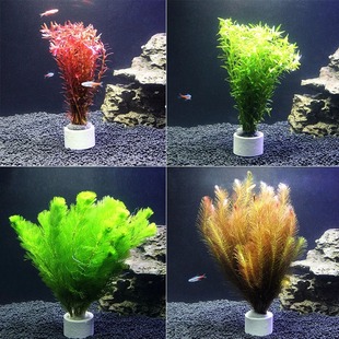 鱼缸造景宝塔宫廷绿羽毛有茎类草中后景水草(打包会去掉底座)