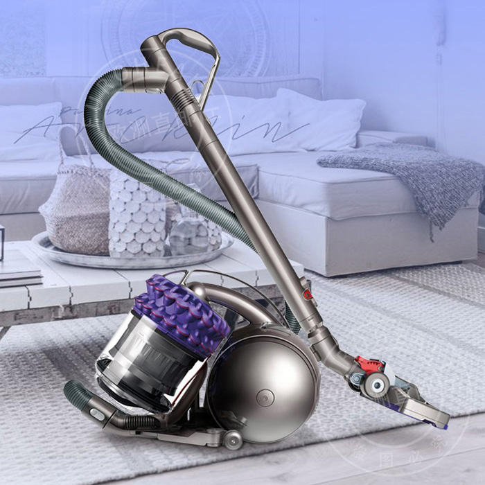 欧洲直邮 dyson戴森吸尘器dc52家用圆筒吸尘器 强力除螨超强吸力