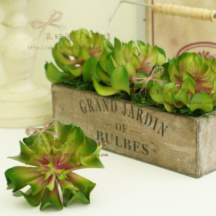 【正版包邮】王朔文集:橡皮人/动物凶猛致女儿书我是你爸爸知道分子看