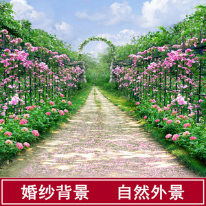 class=h>背景 /span>仿真外景婚紗寫真攝影拍照自然風景 span class=h