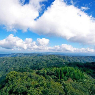 【電子票】雲南大理蒼山感通索道往返票 含國家地質公園門票